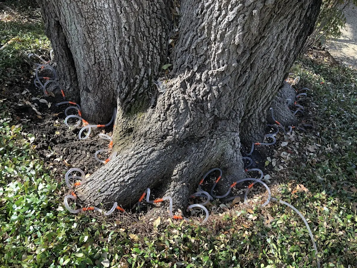 Detailed Shrub and Hedge Trimming job site in New Liberty