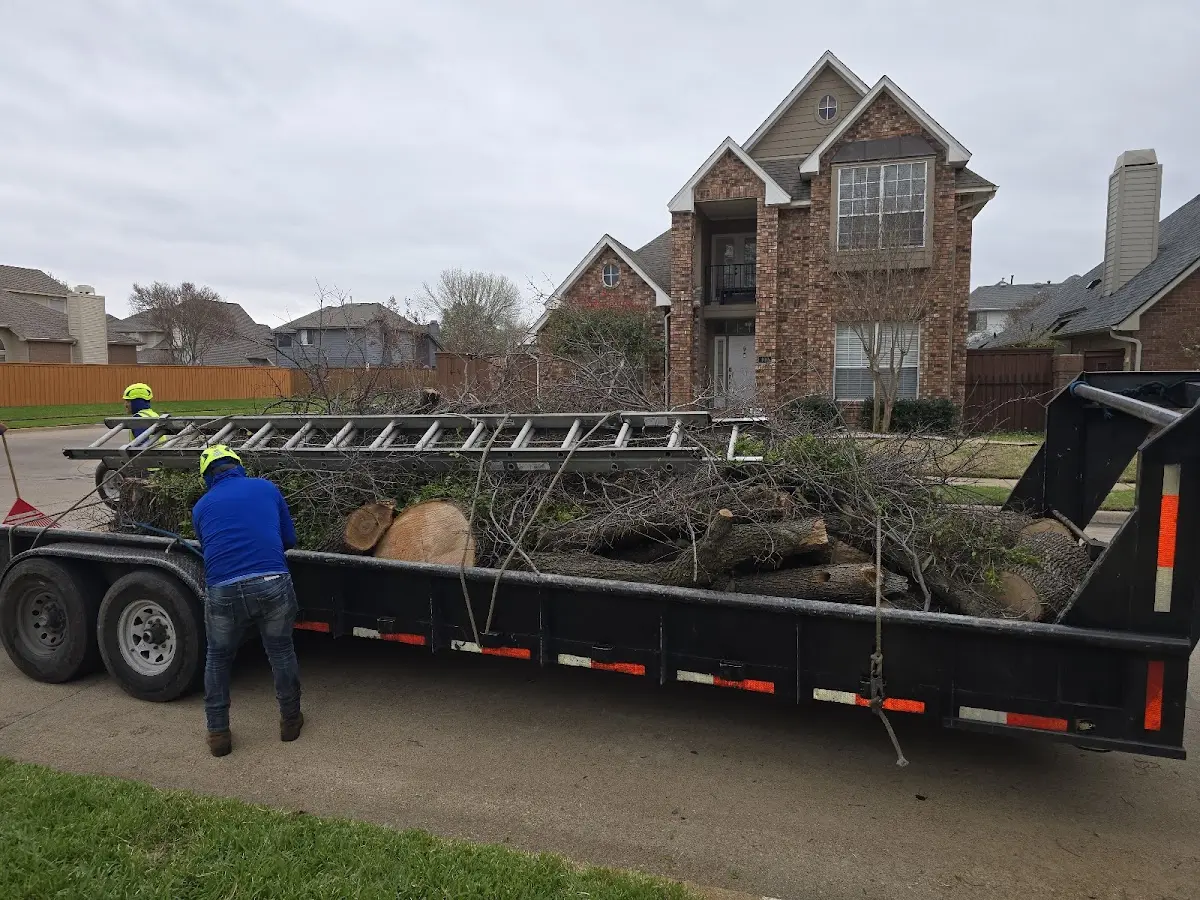 Expert Tree Removal with proper safety equipment in New Liberty